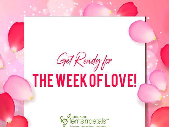 Buy/Send Eternal Romance Combo For Valentine Online- FNP